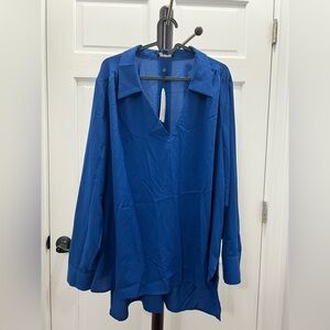 Universal Standard Blue Blouse